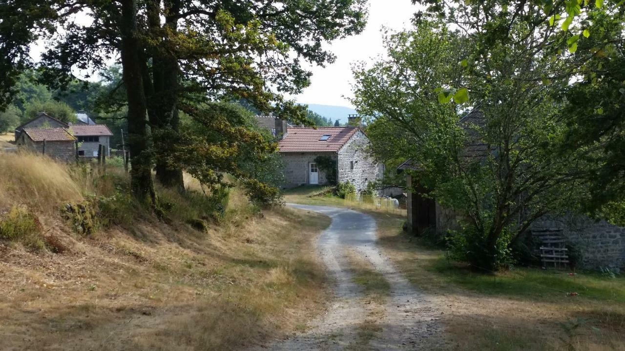 Maison De Bois Royale Royere-de-Vassiviere Exterior photo